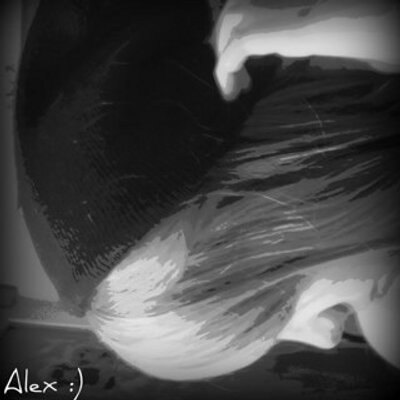 Profile Picture of Alex Morrison (@alexa6717) on Twitter