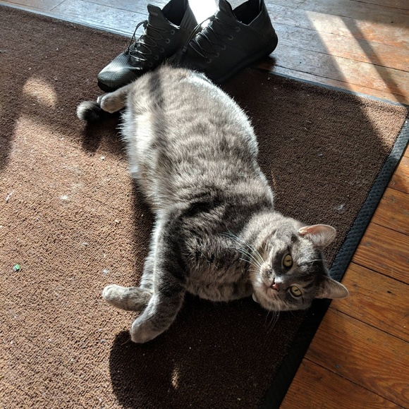 Profile Picture of Antara Murdeshwar (@murde002) on Poshmark