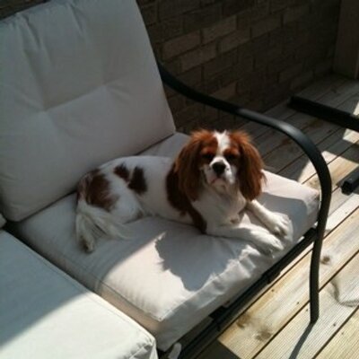 Profile Picture of Sharon Herron (@agatharaison) on Twitter