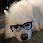 Profile Picture of Albert Shen (@albertshen9869) on Youtube