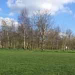 Profile Picture of Jenna Ratcliffe (@jennaalice8) on Instagram