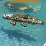 Profile Picture of gArRy ThE gAtEr 🐊 (@garry.the.gay.gater) on Instagram