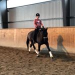 Profile Picture of Merete Hansen (@mereteskoi) on Instagram