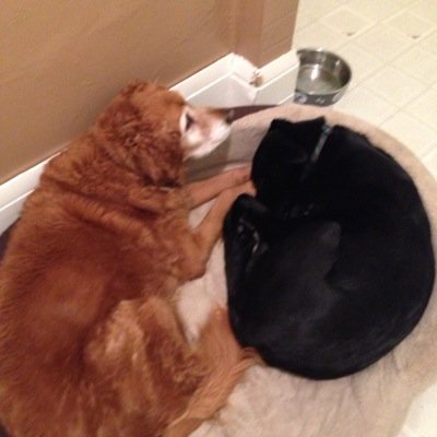 Profile Picture of Bennett Malone (@bennettmoe1) on Twitter