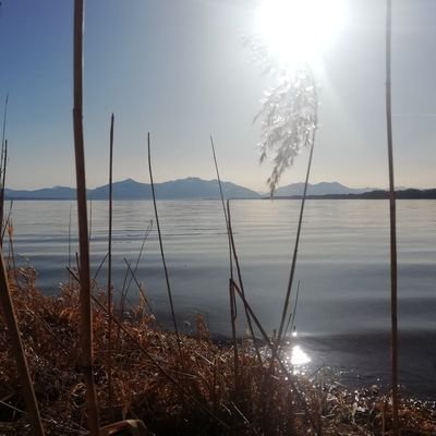 Profile Picture of Steakmeister_1976 (@AndreasEbert11) on Twitter