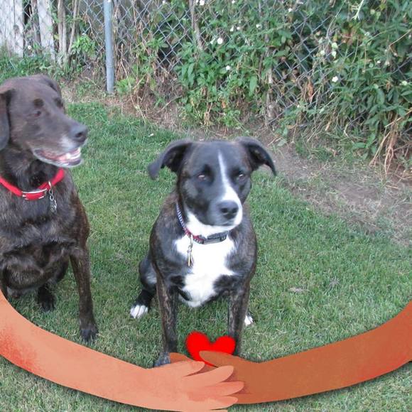 Profile Picture of Richard Crannell (@rcrannell32) on Poshmark