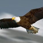 Profile Picture of David Lamaster (@lamaster2) on Instagram