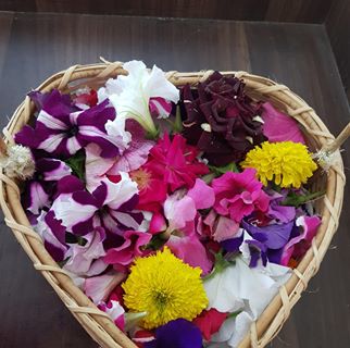 Profile Picture of Heera Saleem (@heera.saleem.3158) on Facebook