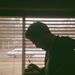 Profile Picture of Reid Mitchell (@reidm2) on Pinterest