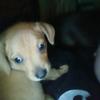 Profile Picture of Chris ferris (@@stevenmichael594) on Tiktok