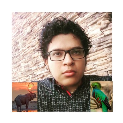 Profile Picture of Victor Gonzaga (@VictorGonzagaH) on Twitter