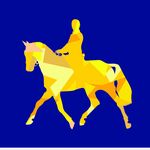 Profile Picture of David Powers (@inmotionequine) on Instagram