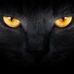Profile Picture of Maurice Baer (@Maurice-Baer) on Facebook