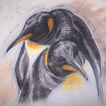 Profile Picture of M A R L E N E (@m a r l e n e) on Flickr