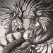 Profile Picture of Alexander Chaffee (@alexanderchaffee) on Pinterest