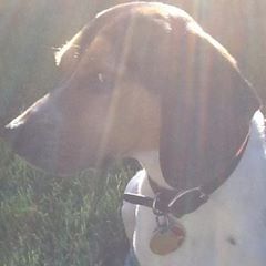 Profile Picture of Wen Guo (@user361733663) on Tiktok