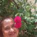 Profile Picture of Marcia Brazil (@marcia.brazil.775) on Facebook