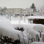 Profile Picture of Andree Richard (@andree.richard) on Instagram