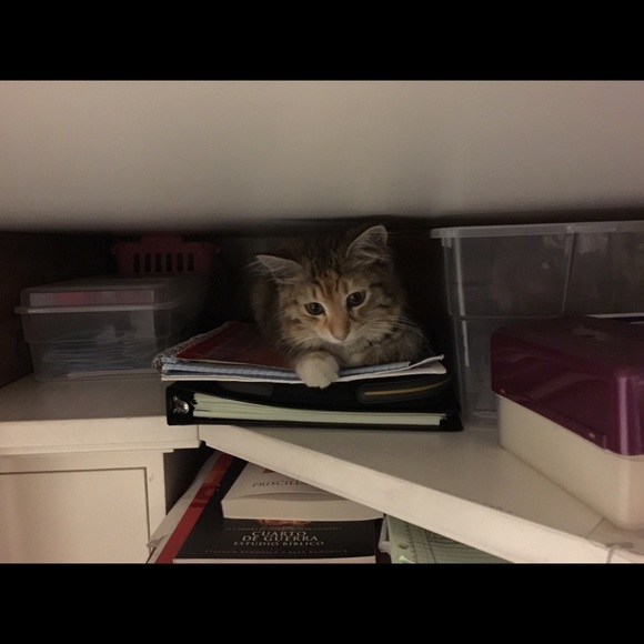 Profile Picture of Nancy Cuellar (@misdj10) on Poshmark