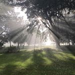 Profile Picture of Christina Curtis (@joyousoaksfarm) on Instagram