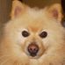 Profile Picture of Oscar Travis (@oscar.travis.9) on Facebook