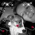 Profile Picture of Alex Tharp (@alex.tharp.583) on Facebook