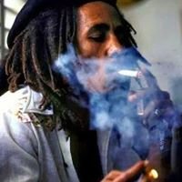Profile Picture of 2522057810 (@mariobarrett471) on Twitter