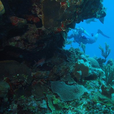 Profile Picture of Jason Ramage (@hydrojkr) on Twitter