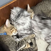 Profile Picture of Bernard John Hermida (@buuuuukojuice) on Youtube