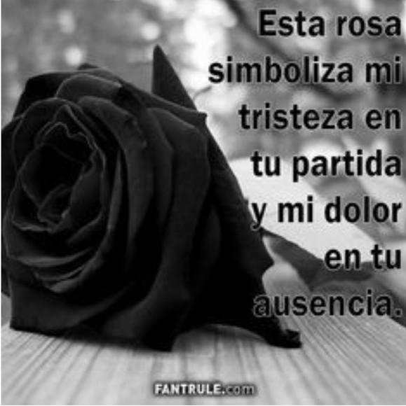 Profile Picture of Cayetano Navarrete (@cayetano20111) on Poshmark