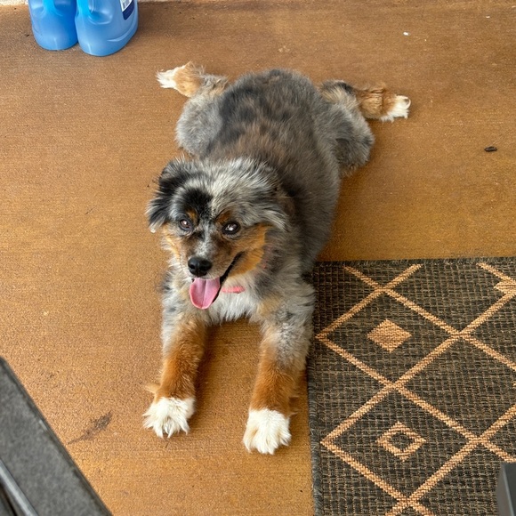 Profile Picture of Adam Schwarzenbach (@schwaatz) on Poshmark