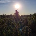 Profile Picture of Kentucky Bioscience (@roberthuttick) on Instagram