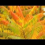 Profile Picture of Jose Javier Ballester (@josejavier) on Instagram