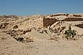 Profile Picture of Hasmonean and Herodian royal winter palaceson Wikipedia