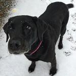 Sophie Daisy Batt - Instagram Profile Picture of Sophie Daisy Batt (@sophiedaisybatt) on Instagram