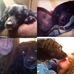 Profile Picture of Amanda Shore (@amanda.shore.311) on Facebook