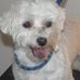 Profile Picture of Peggy Callahan (@peggy.callahan.9) on Facebook