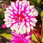 Profile Picture of Ritesh Rai (@rairitesh116) on Instagram