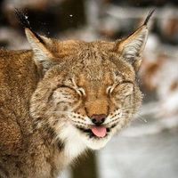 Profile Picture of Tatyana Ryseva (@tatyana-ryseva) on Quora