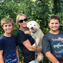 Profile Picture of paulahendley (@paulahendley) on Tiktok