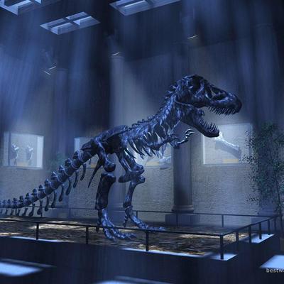 Profile Picture of Jeremy Centeno (@CentenoElian) on Twitter