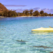 Profile Picture of Michael StClair (@Michamumba) on Youtube