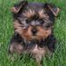 Profile Picture of Pamela Mallett (@pamela.mallett.58) on Facebook