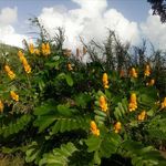 Profile Picture of Carl Bascombe (@carlbascombe) on Instagram