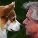 Profile Picture of Mike Burk (@mikeburk) on Instagram