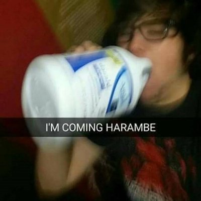 Profile Picture of Timothy Honeycutt (@timothyhoneycu4) on Twitter