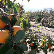 Profile Picture of Luis Sanmiguel (@luissanmiguel6645) on Youtube