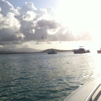 Profile Picture of Myrna Melendez (@MelendezMyrna) on Twitter