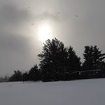 Profile Picture of Fabian Paul Luzuriaga (@fabi_luzu_2005) on Instagram