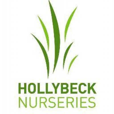 Profile Picture of Hollybeck Nurseries (@NHBNurseries) on Twitter